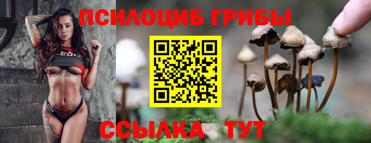 Гагарин  Псилоцибиновые грибы MAGIC MUSHROOMS  Вход с VPN 